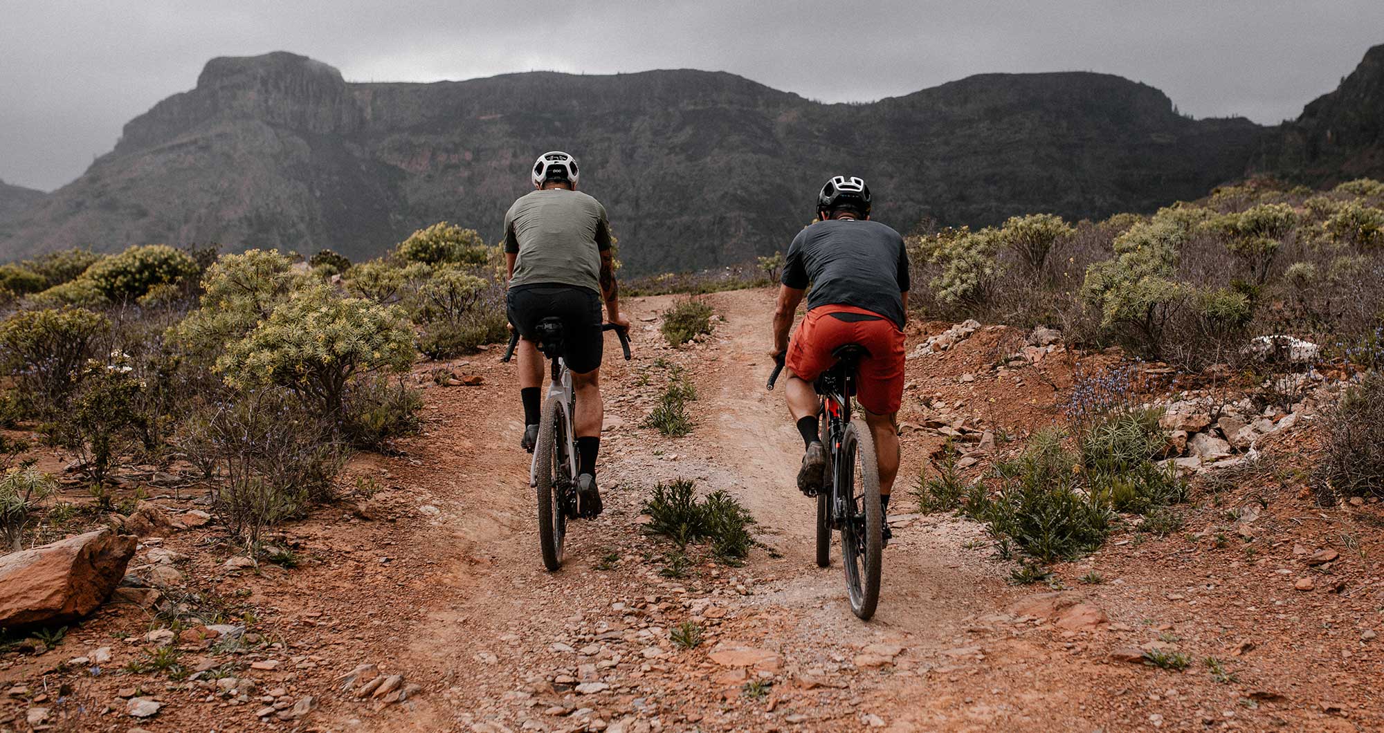 pedaled-jary-all-road-cycling-bib-shorts
